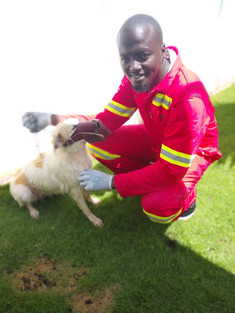 James Thadeus Mramba in red workwear caring for a dog